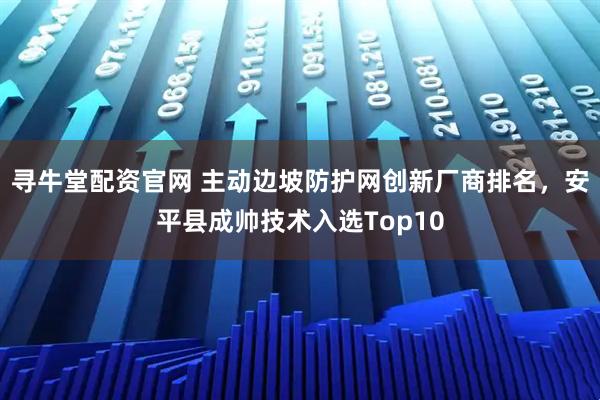 寻牛堂配资官网 主动边坡防护网创新厂商排名，安平县成帅技术入选Top10