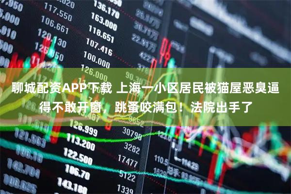 聊城配资APP下载 上海一小区居民被猫屋恶臭逼得不敢开窗，跳蚤咬满包！法院出手了