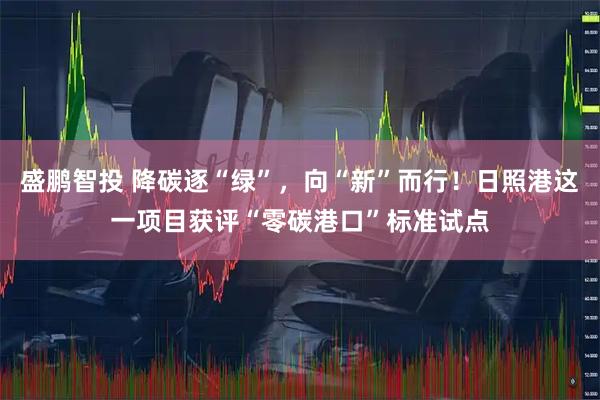 盛鹏智投 降碳逐“绿”，向“新”而行！日照港这一项目获评“零碳港口”标准试点