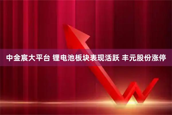 中金宸大平台 锂电池板块表现活跃 丰元股份涨停